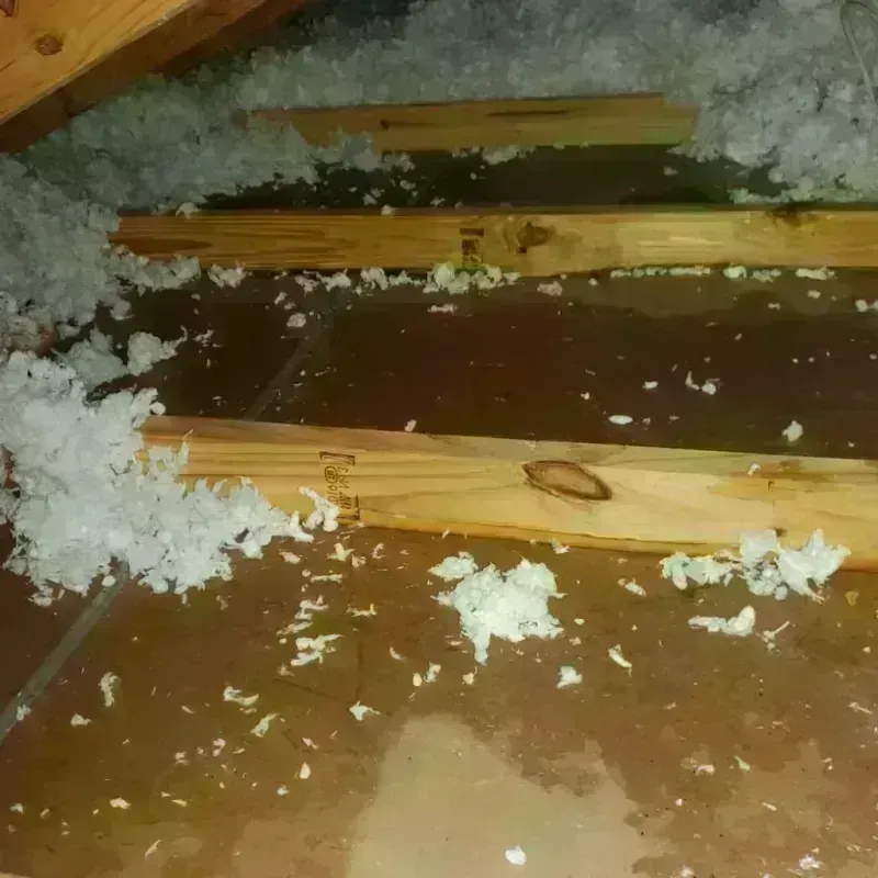 Attic Water Damage in Waukomis, OK