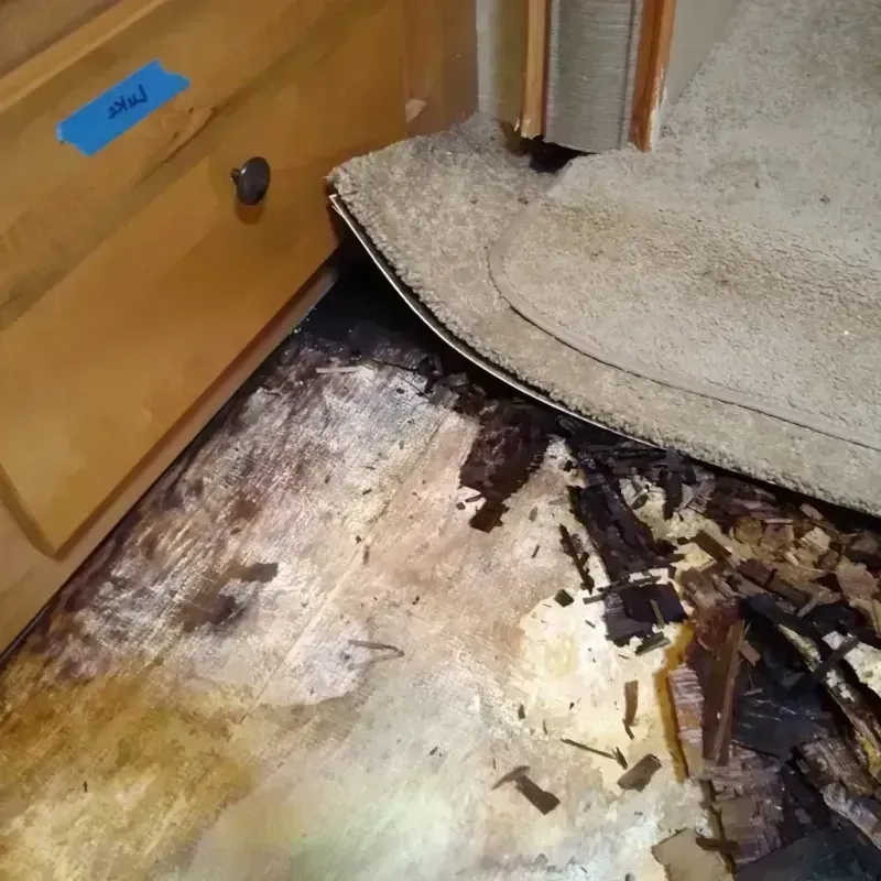 Wood Floor Water Damage in Waukomis, OK